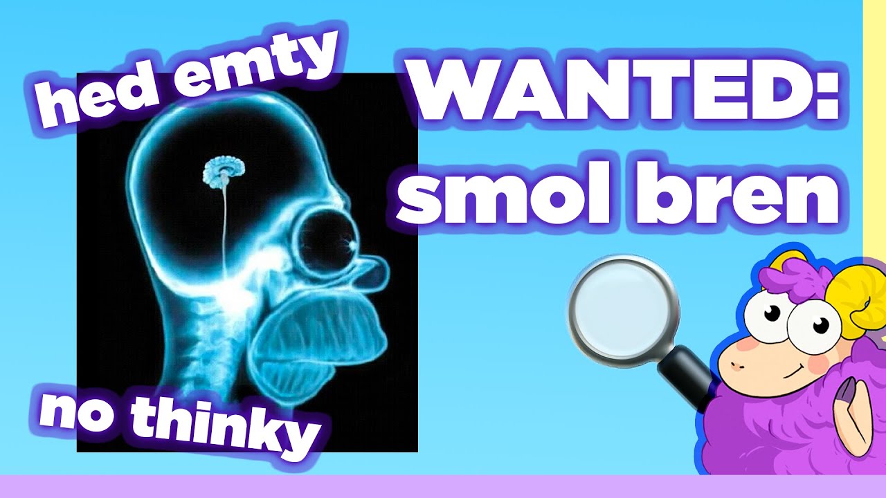 Proof That We Only Use 10% Of Our Brain