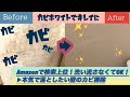 【玄関・洗面所の壁カビ】一時間以内にコスパ良く確実に無くす方法