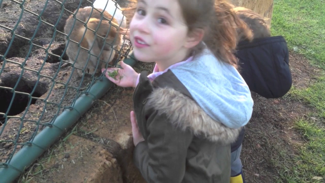 TRAVEL Ferguson Valley Farmstay YouTube