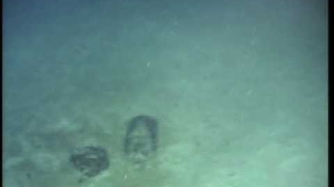 Danaos Project 2008 - Artifacts DP08-002 and DP-08-003