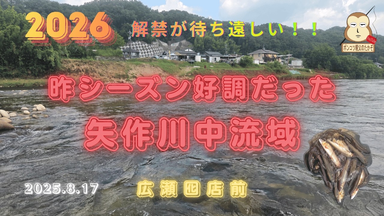「鮎解禁が待ちどおしい！！」2025.盛期の矢作川アユ釣り
