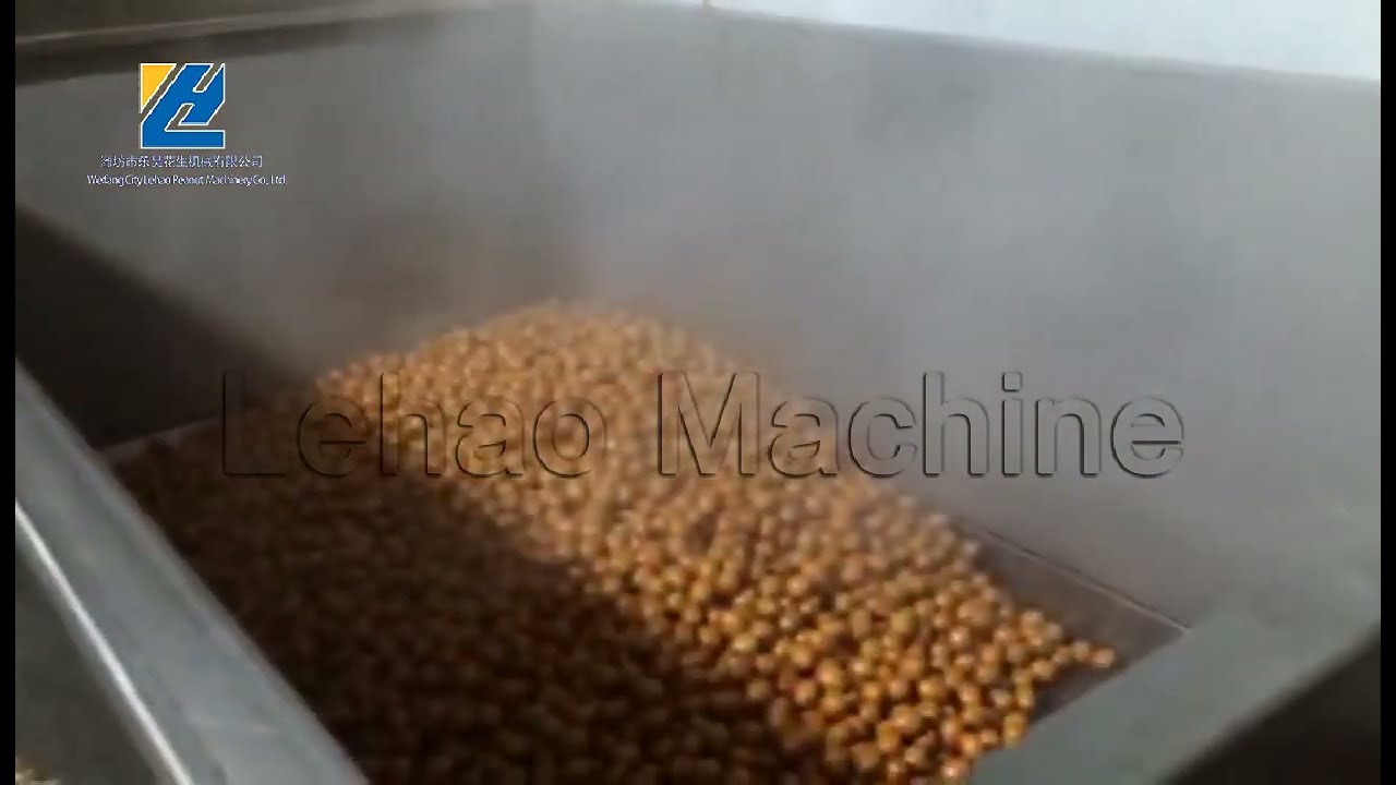 500kg Coated Peanut Production Line