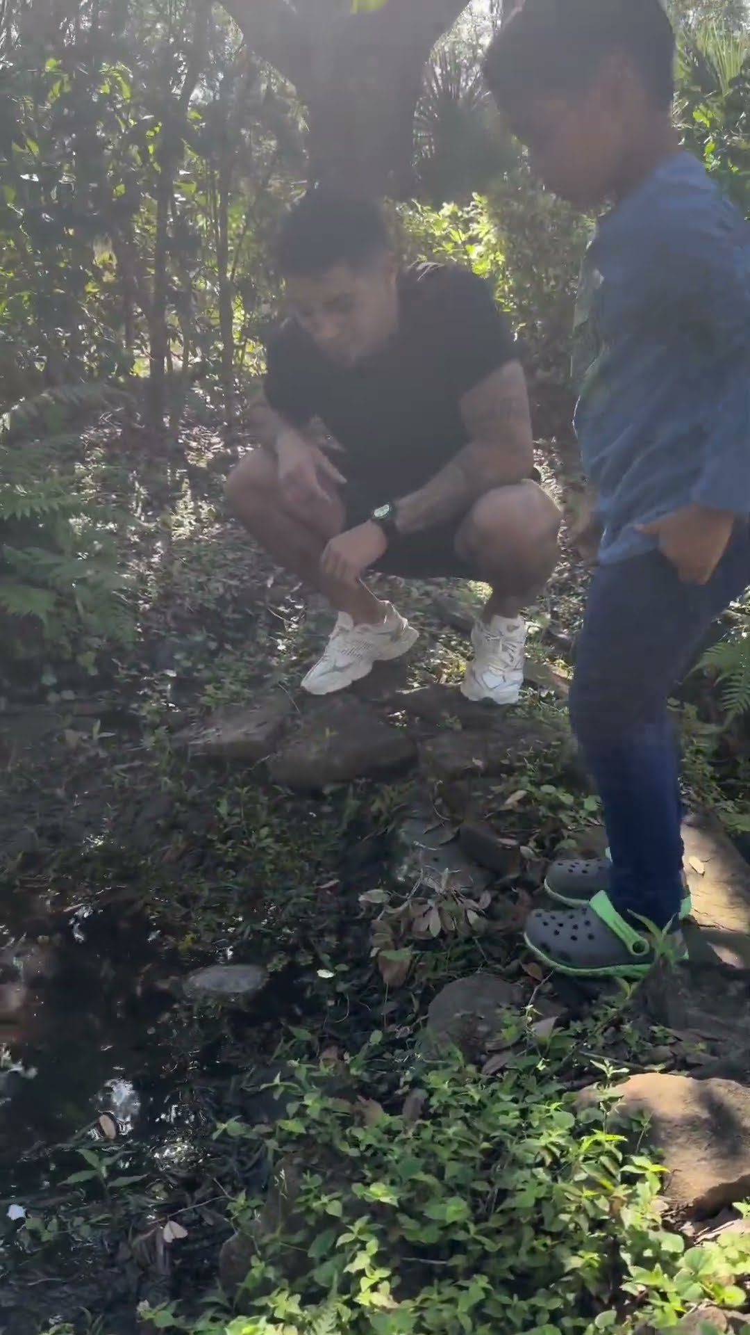Dad and son put turtle in pond at home #shorts