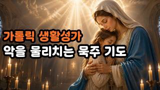 악을 물리치는 묵주 기도 | 가톨릴 생활성 | 성모의 빛 안에서 드리는 묵주기도 | 묵주의 숨결로 지켜주소서 | 천주교성가 기도 노래 | 성모 마리아 보호 기도 screenshot 3