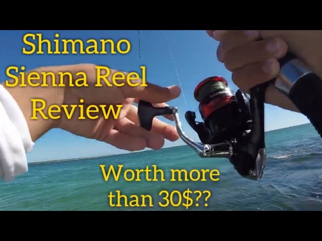 Shimano Sienna 1000 Fishing Review 