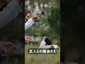 [人生の教訓] 「一度火を消し忘れただけで…娘に病院へ連れて行かれ、友人と会うのも制限される。76歳の私の自由はどこへ？」#shorts