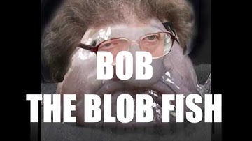 BOB THE BLOBFISH