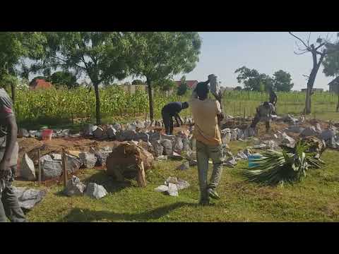 Video: Msingi Wa Kisukari Hutoa Mbwa Za Tahadhari Kwa Familia Zinazohitaji