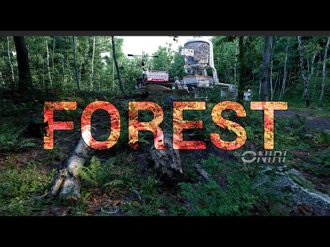 The Most Realistic ever made VR Forest is waiting for you! Available for free on Meta Quest Store.