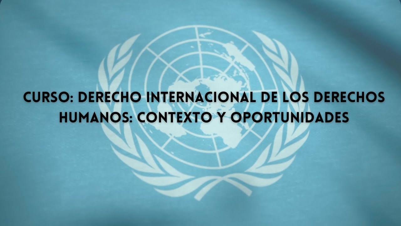 Curso Derecho Internacional de los Derechos Humanos: contexto y ...