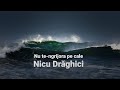 Nicu Drăghici - Nu te-ngrijora pe cale