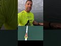 Getting the Paddle Into the Water — Catch &amp; Entry Tips | Paddle Collective