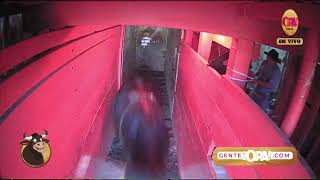 Toros De Zapote - Tarde Domingo 31 Diciembre 2023