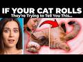 If Your Cat Rolls Over for You, They're Trying to Tell You This