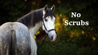 No Scrubs - Equestrian Music Video