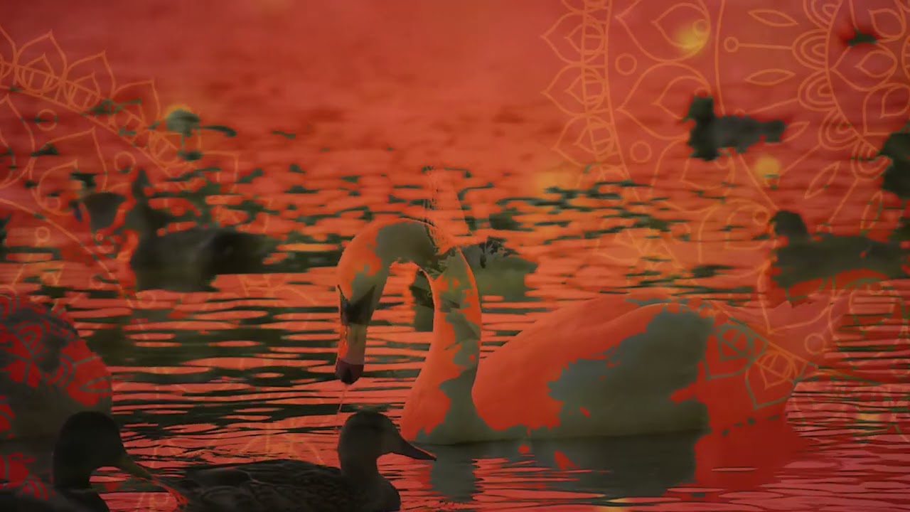 Aura Gaze - "Everlasting Peace" from Great Moon Essence (Somewherecold Records, 2022)