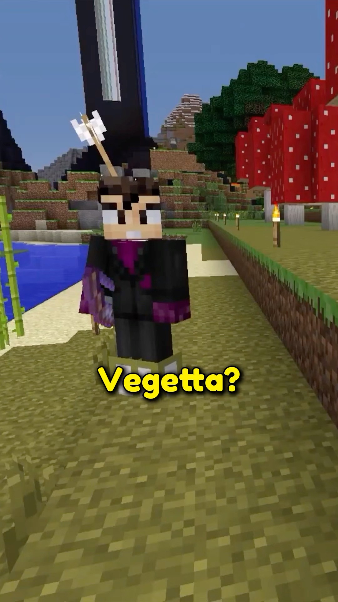 Vegetta? ?