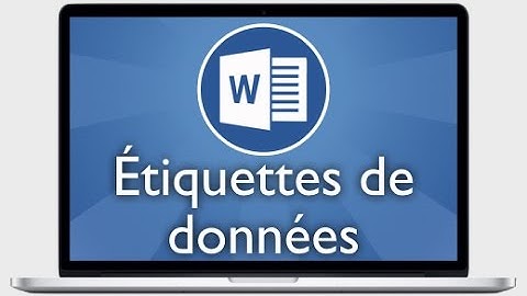 Tutoriel Word 2013 - Afficher et mettre en forme les étiquettes de données dans un graphique