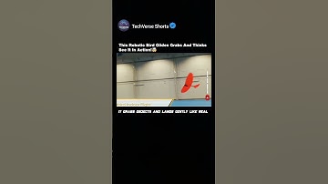 Robotic bird That Learns to Hunt the Sky!🦅🤖#shorts#engineering