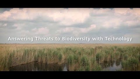 Huawei x Rainforest Connection in Austria-Biodiversity Monitoring Project