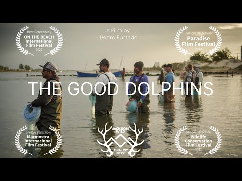 The Good Dolphins - Documentary