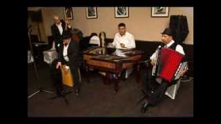 Mircea Tontoroiu   Acordeon - Sarba ca la Olteni !