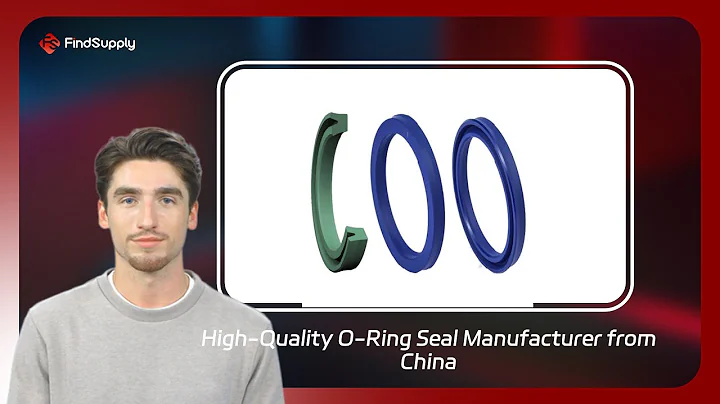 High-Quality O-Ring Seal Manufacturer from China
