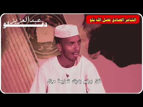 الشاعر الصادق فضل الله بلو 