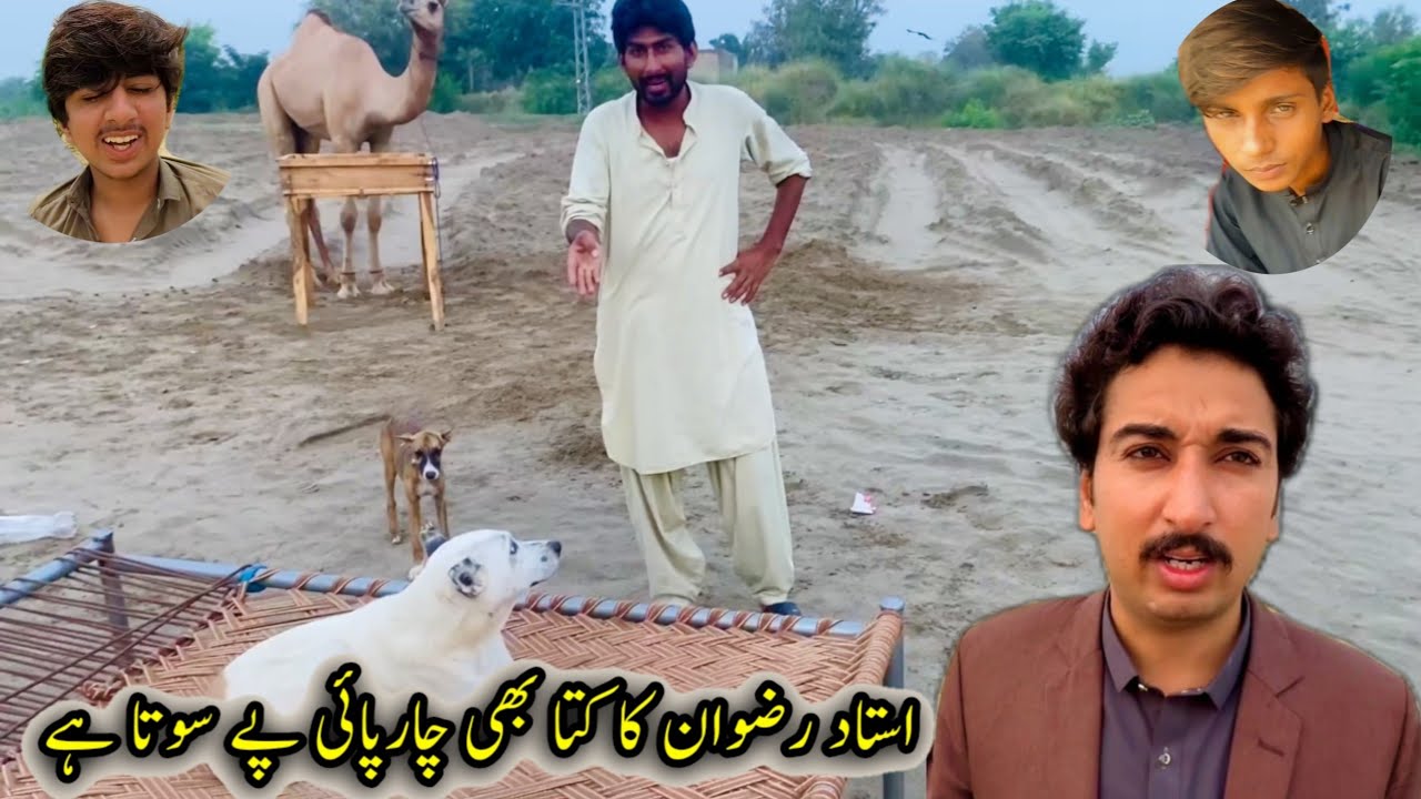 Ustad Rzwan Ustad Rizwan Ka Kota Bhi Charpai Py Sota Hai😱😲 - YouTube