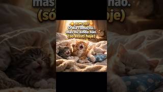 The Day Has Begunbut I Havent Yet canaljosrenatoferrazdasilveira fypviral