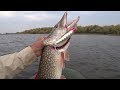 DUO Fangbait 140SR - спец по крупным щукам.Pike Fishing.