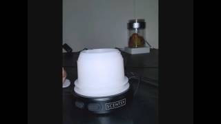 Scentsy Diffuser with Reflect Shade