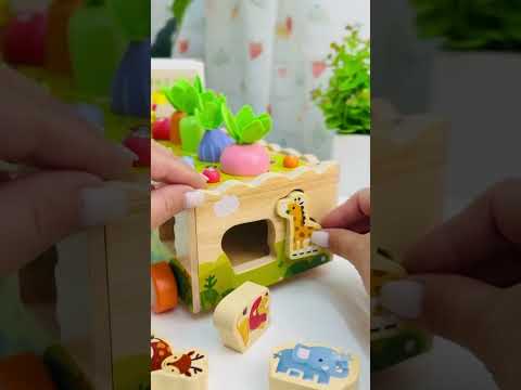 Детская деревянная каталка с фигурками животных и огородом, развивающая игрушка для детей, обучающий деревянный сортер для ребенка, видео 1