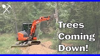 Kubota KX0404 Mini Excavator: Taking Out Trees