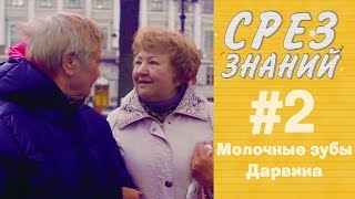 «Срез знаний» № 2: Молочные зубы Дарвина