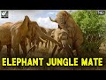 हाथी जंगल के साथी | Elephant Jungle Mate | World Documentary HD.