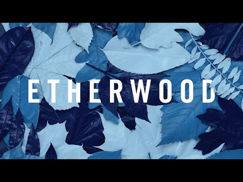 Etherwood - The Rain Will Fall (feat. LSB)