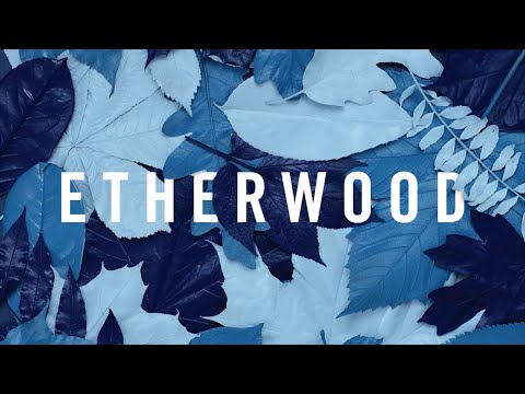 Etherwood — Etherwood - The Rain Will Fall (feat. LSB)