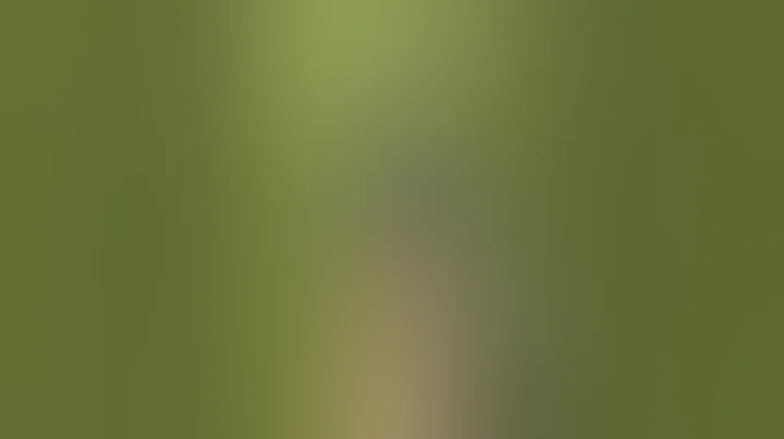 FRT Trigger AR-15 #shorts #magpul #556 #ar15 #ar15build #frt #sightmark