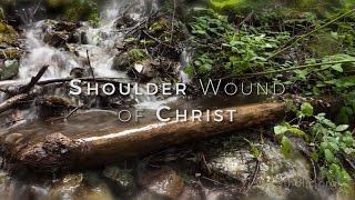 Image of Shoulder Wound of Christ HD video
