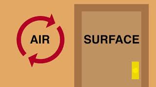 Avalon Home Inspections | Mold Inspections