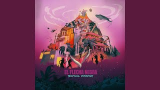 Video thumbnail of "El Flecha Negra - Mil Perdones"
