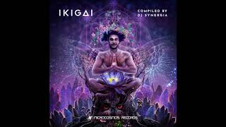 Ikigai (Compiled by DJ Synergia) | Full Compilation