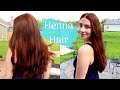 How I Naturally Color My Hair with Henna : Red Henna on Long Medium/Dark Brown Hair