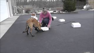 Drac Does ORT Boxes News
