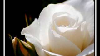 Video thumbnail of "rosa blanca SKANDALO SHOW"
