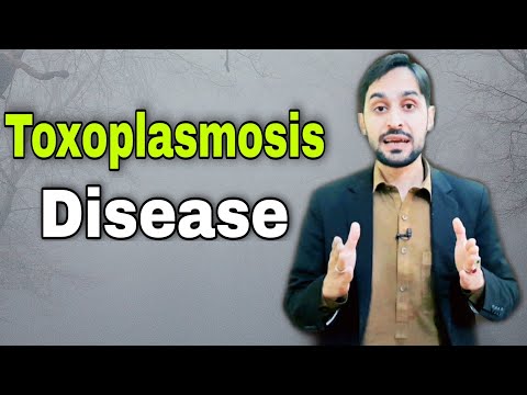 Toxoplasmosis | Toxoplasmosis Test | Toxoplasmosis Transmission