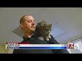 Kitty Cop: Hillsborough officer saves cat, gains feline partner