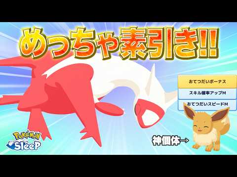【ポケモンスリープ】自分をラティアスと思い込んだイーブイが来日