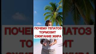 🔥Почему гепатоз тормозит сжигание жира❓#печеньлечение #гепатоз #лишнийвес #жирвпечени #диабет #рек